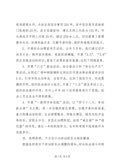 县综合执法局社会管理综合治理工作报告.docx