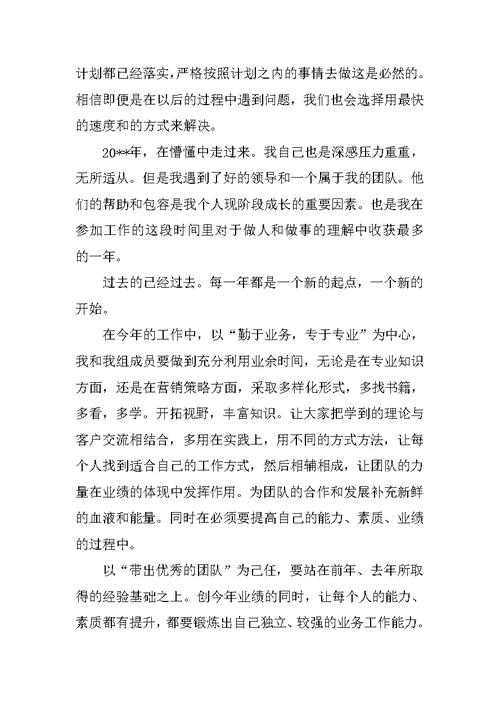 销售总监年度述职报告范文
