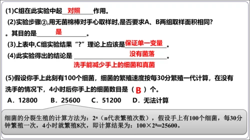 【人教八上生物期中复习考点梳理+临考押题】第四、五章 细菌、真菌和病毒（串讲课件）(共30张PPT)