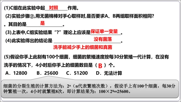 【人教八上生物期中复习考点梳理+临考押题】第四、五章 细菌、真菌和病毒（串讲课件）(共30张PPT)