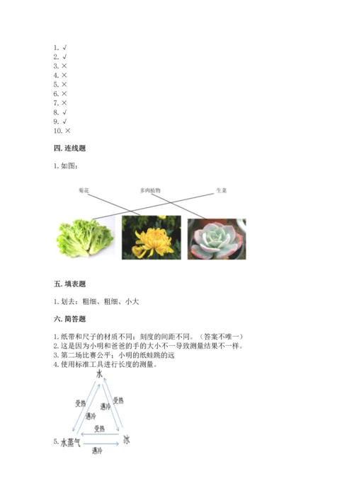 教科版一年级上册科学期末测试卷【考点提分】.docx