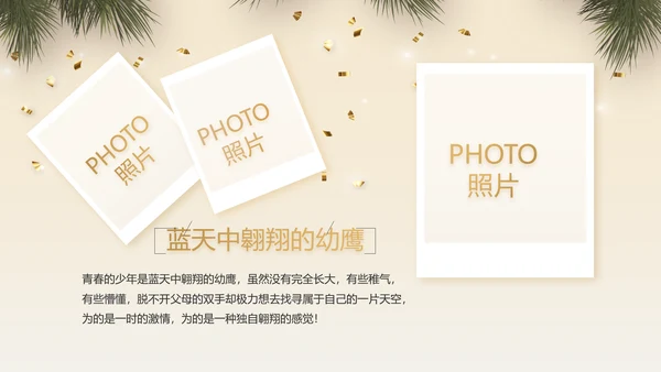 圣诞快乐圣诞节组织活动策划方案PPT