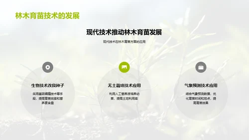 林木育苗技术探讨