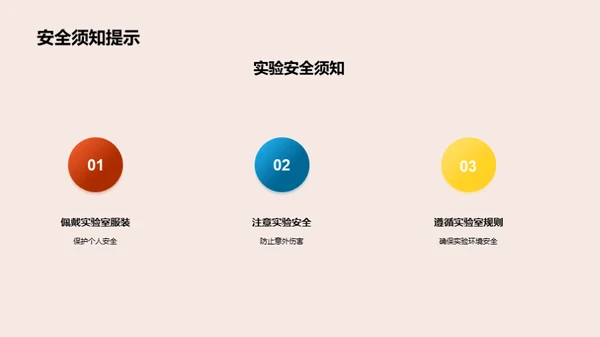 实验探究之旅