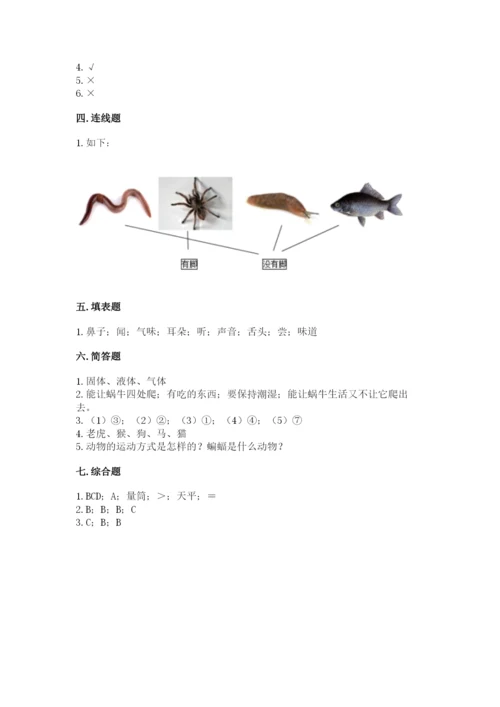 教科版一年级下册科学期末测试卷【研优卷】.docx
