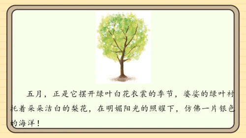统编版语文二年级上册主题八  走进乡村 阅读与写作指导课件