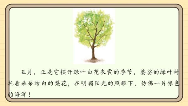 统编版语文二年级上册主题八  走进乡村 阅读与写作指导课件