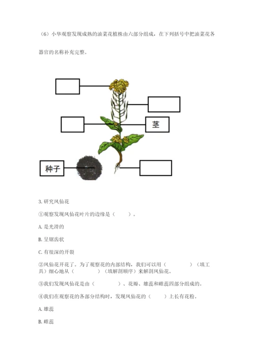 科学四年级下册第一单元植物的生长变化测试卷（必刷）.docx