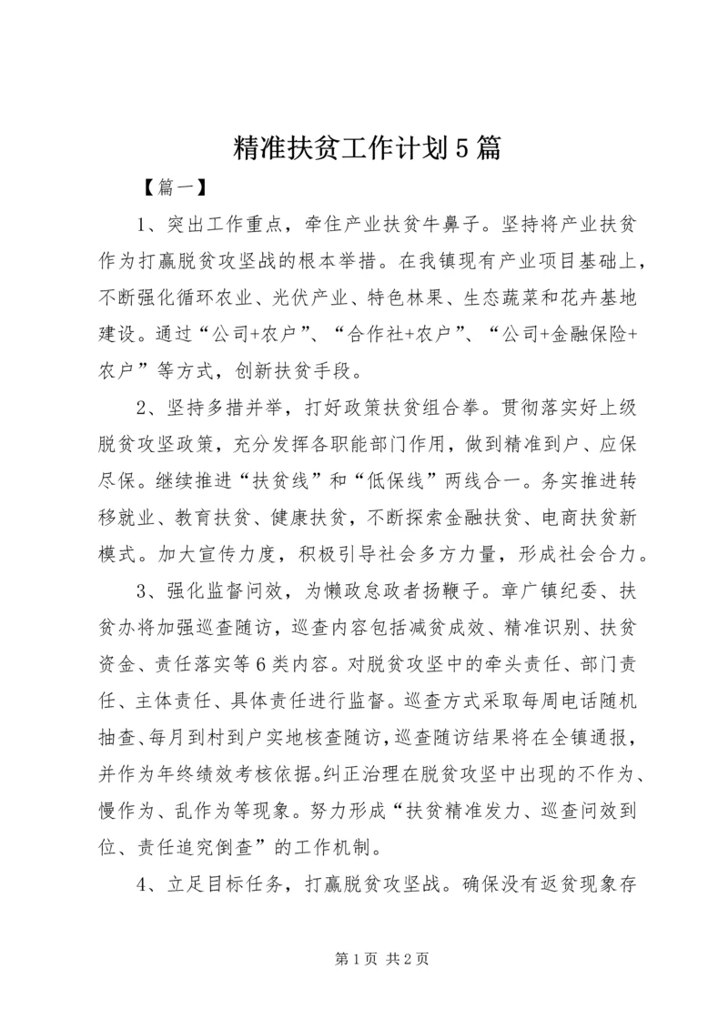 精准扶贫工作计划5篇.docx