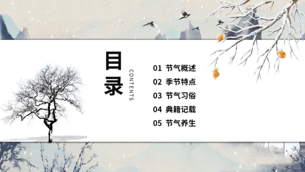 大寒节气山村通用PPT模板