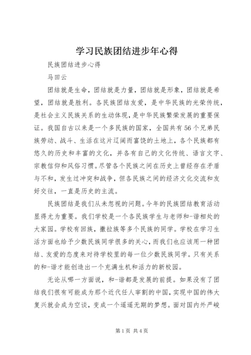 学习民族团结进步年心得 (5).docx