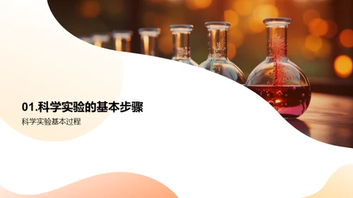 科学实验全程指南