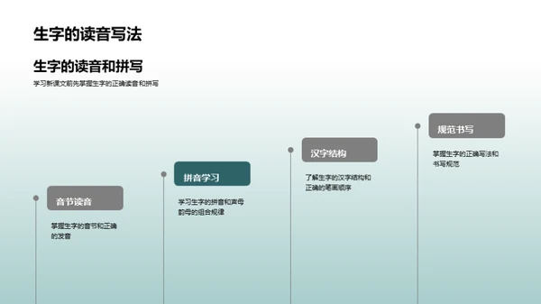 掌握课文新知识