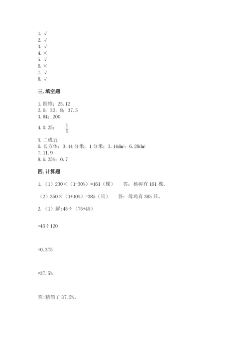 北京版六年级下册数学期中测试卷【典优】.docx