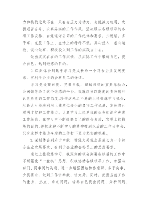 挂职学习工作总结.docx