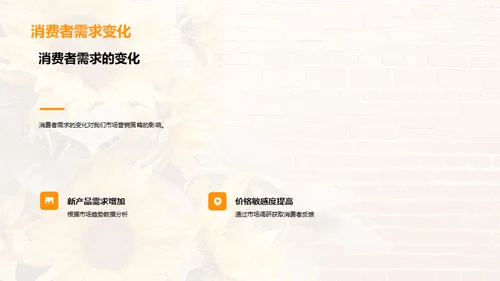 大暑营销策略解析