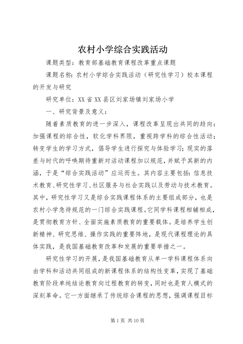 农村小学综合实践活动.docx