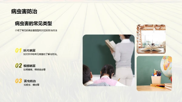 农学实践技能提升
