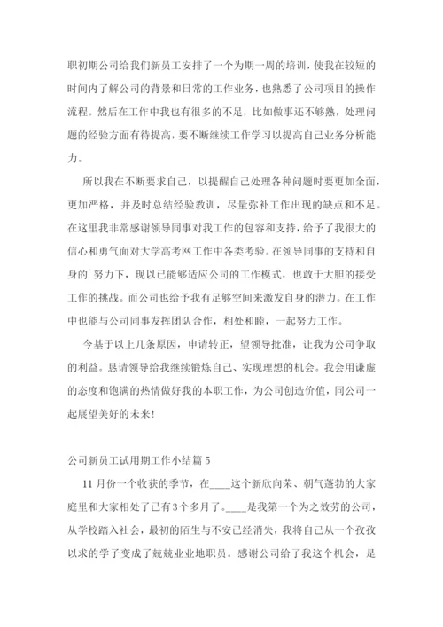 公司新员工试用期工作小结.docx