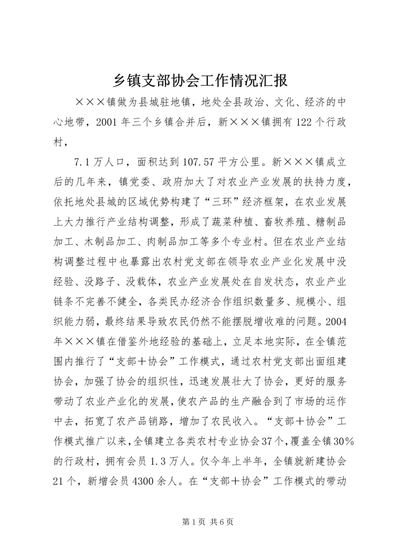 乡镇支部协会工作情况汇报.docx