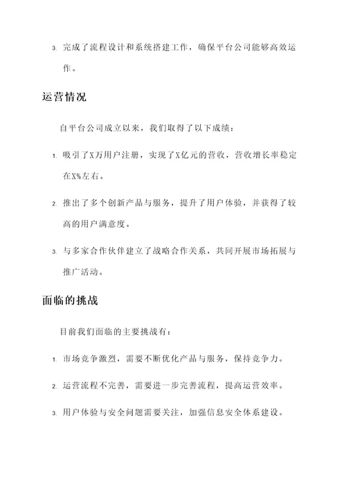 关于平台公司组建运营情况汇报