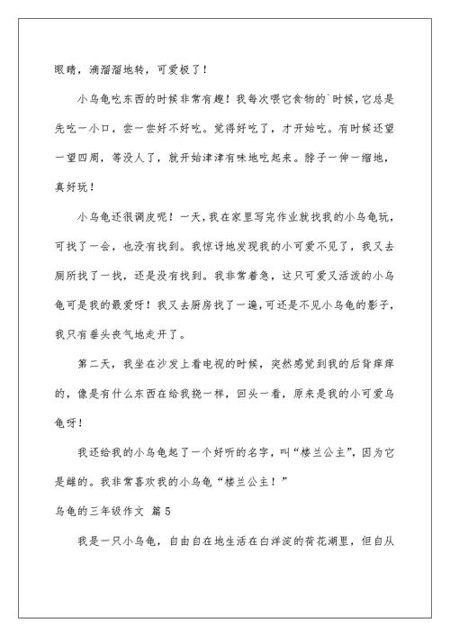 2022乌龟的三年级作文6篇