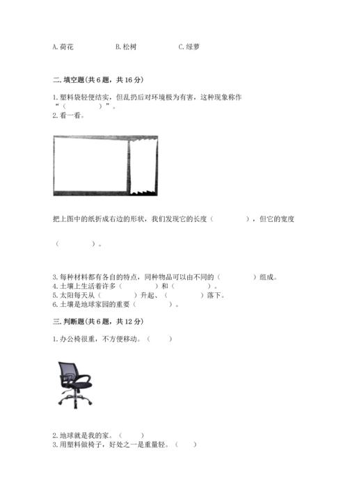 教科版二年级上册科学期末测试卷（a卷）.docx
