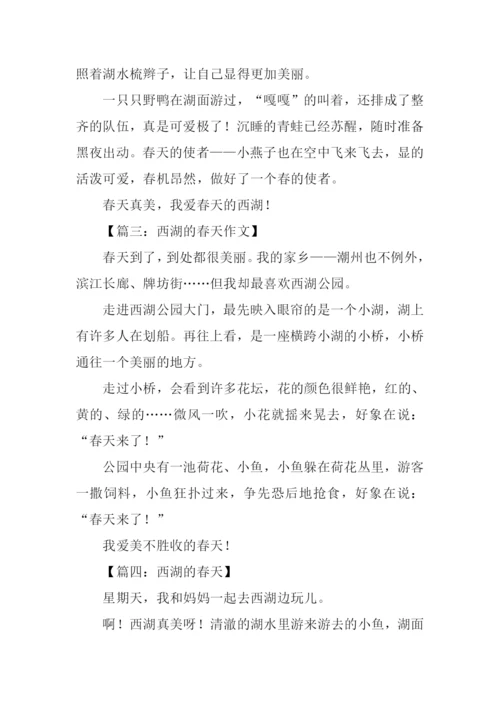 西湖的春天作文200字.docx