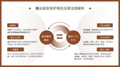 棕色商务风知识产权保护制度培训PPT