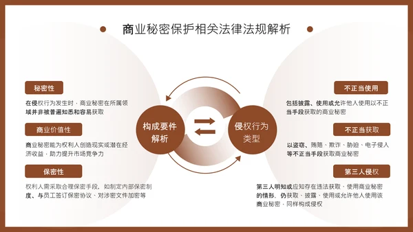 棕色商务风知识产权保护制度培训PPT