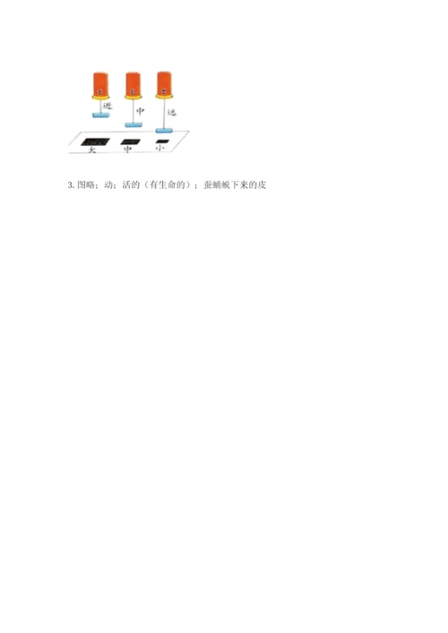 教科版科学三年级下册期末测试卷标准卷.docx