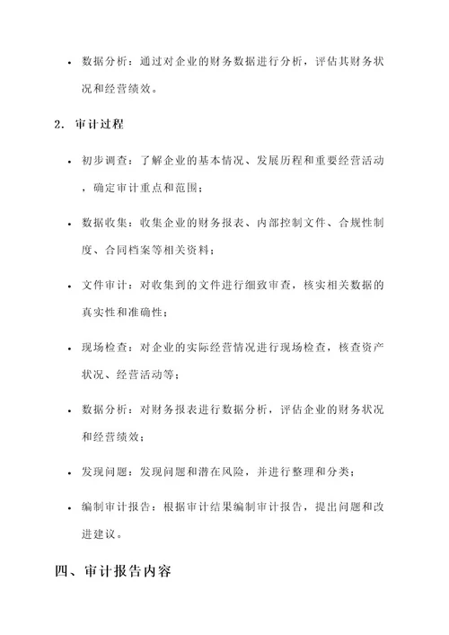 国有投资企业审计方案