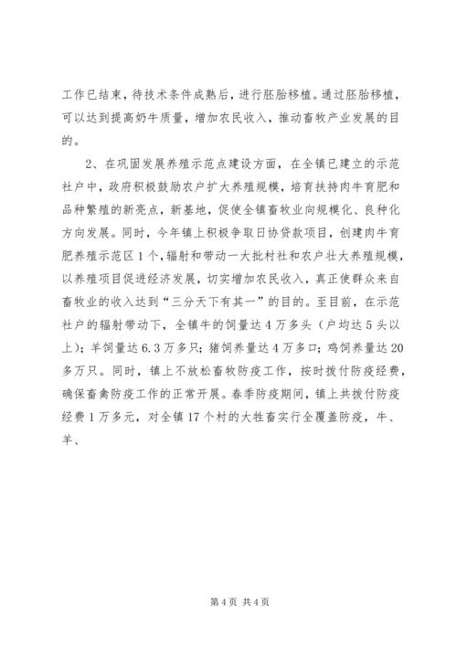 乡镇政府工作总结报告.docx