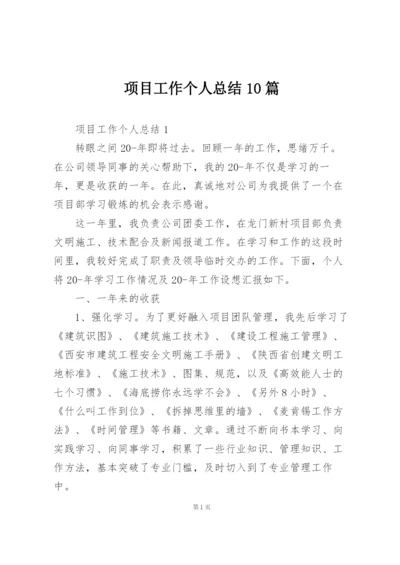 项目工作个人总结10篇.docx