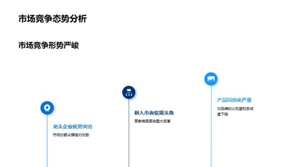 20XX年度公司全景解析