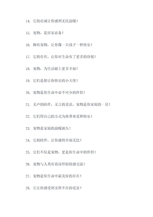 买宠物的标语