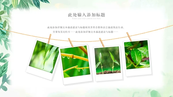 植物生长绿芽小树苗生长发芽成长ppt模板