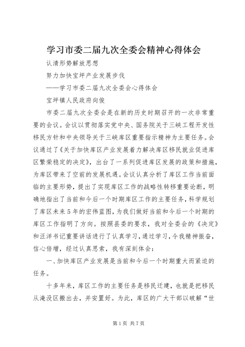 学习市委二届九次全委会精神心得体会.docx