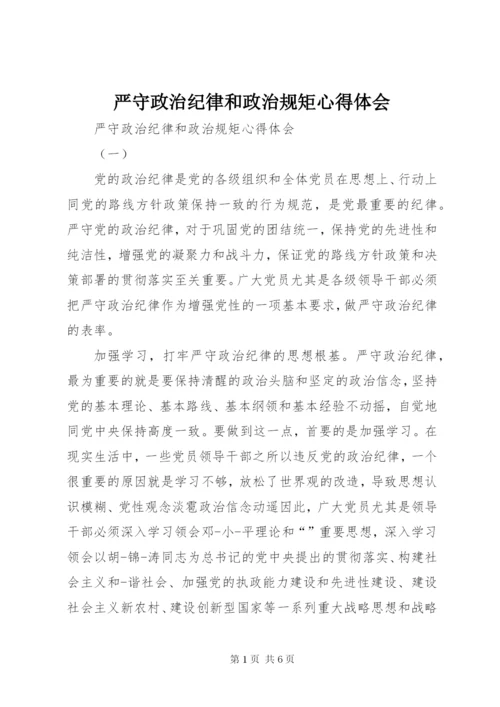 严守政治纪律和政治规矩心得体会.docx