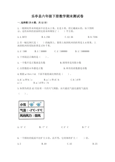 乐亭县六年级下册数学期末测试卷完整版.docx