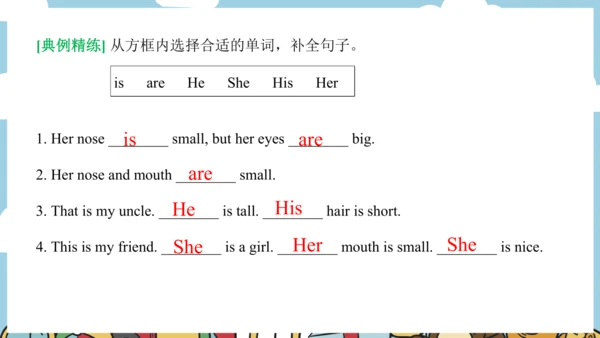 Unit 8 Dolls 复习课件-2024-2025学年译林版（三起）四年级英语上学期期末复习讲练