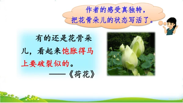 统编版语文三年级下册第一单元 《语文园地一》课件