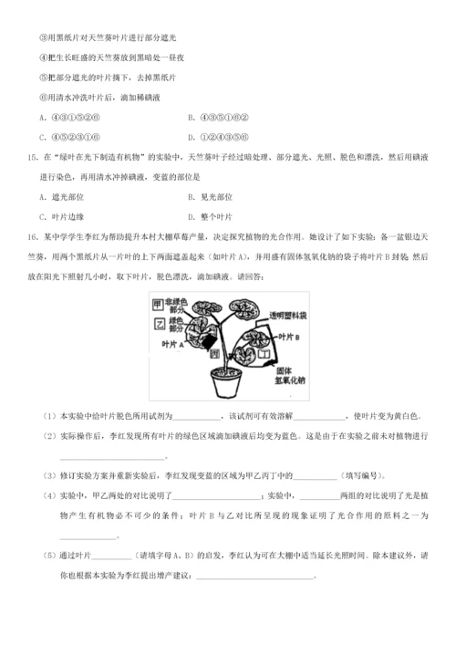 中考生物 专题汇编 植物的光合作用-人教版初中九年级全册生物试题.docx