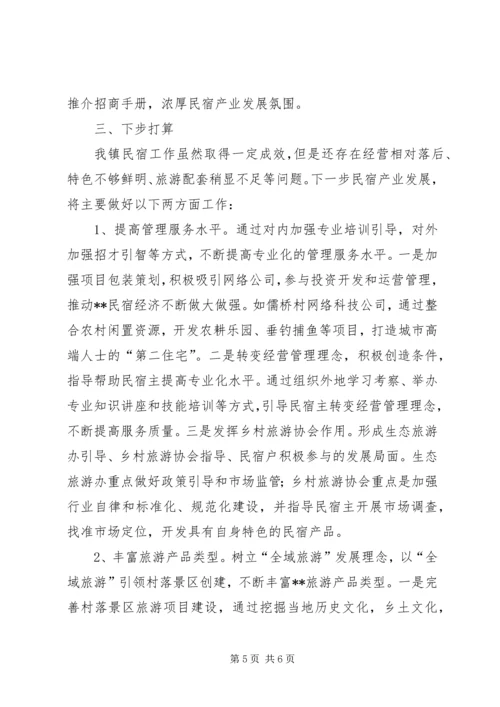 乡镇民宿经济发展情况汇报.docx