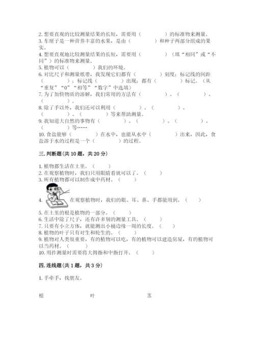 教科版一年级上册科学期末测试卷【各地真题】.docx