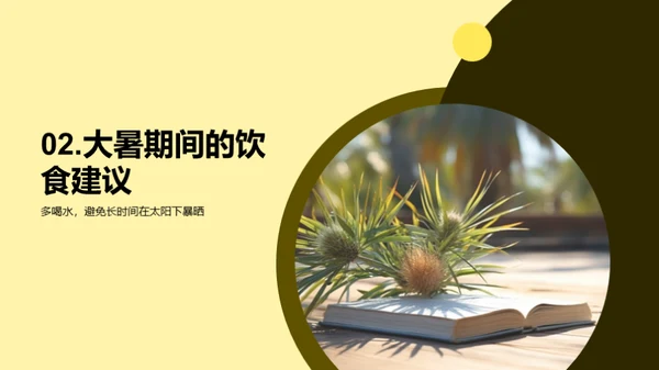 大暑生活指南