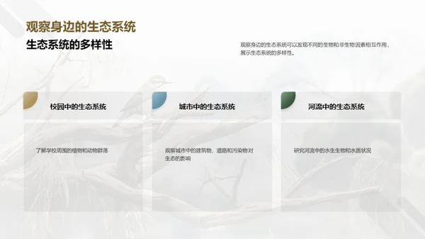 水墨风教育培训教学课件PPT模板