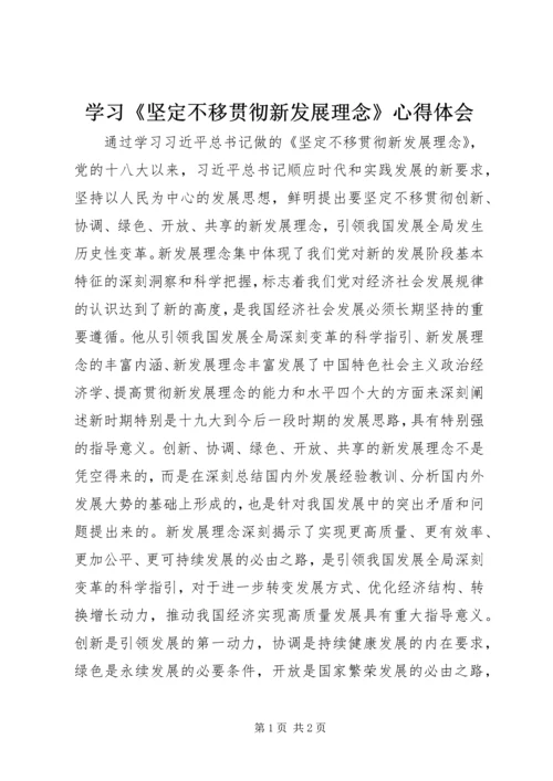 学习《坚定不移贯彻新发展理念》心得体会.docx