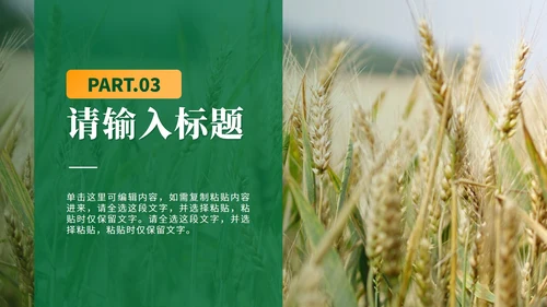 绿色简约实景全民推进乡村振兴PPT模板