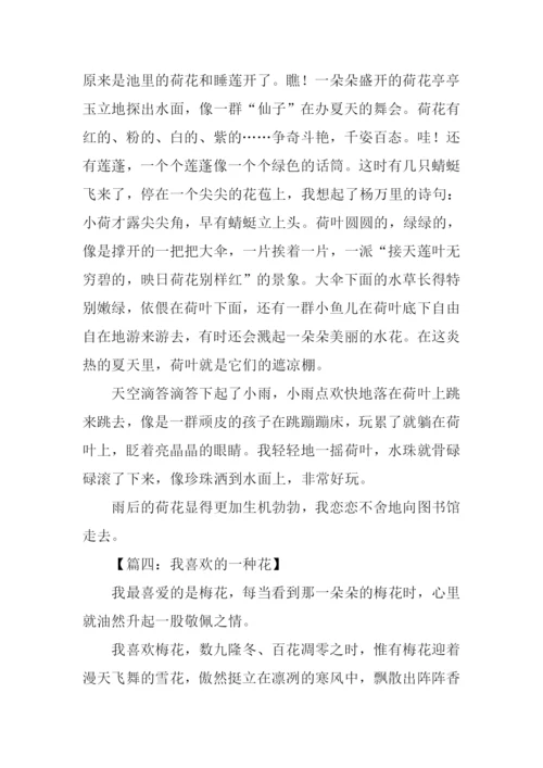我喜欢的一种花作文400字-1.docx